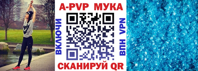 даркнет телеграм  Череповец  A PVP СК 