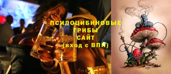 тгк Гусиноозёрск